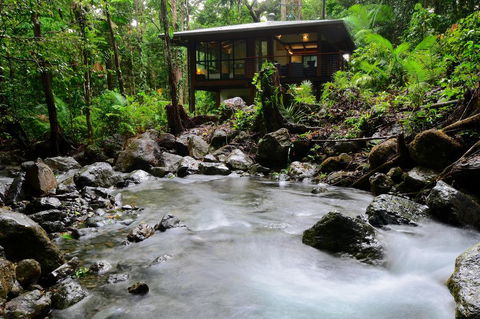 Black Palm Cape Tribulation - Inverell Accommodation 2