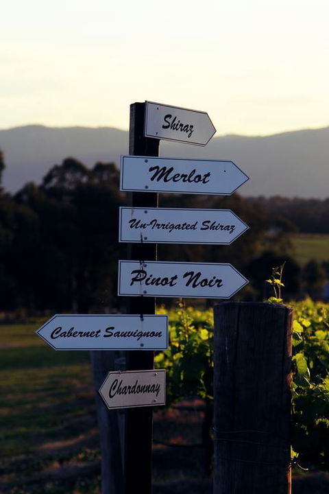 Blueberry Hill Vineyard Villa - Inverell Accommodation 3