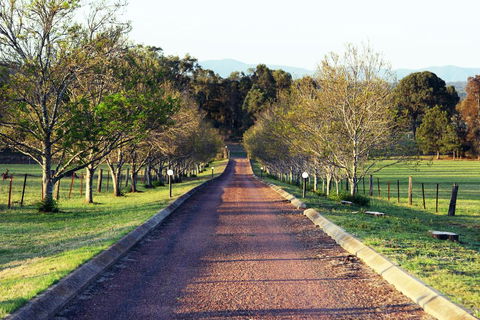 Blueberry Hill Vineyard Villa - Inverell Accommodation 0