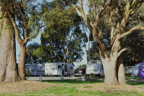 Woodmans Hill Motel - Inverell Accommodation 2