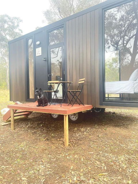 Whispering Wallaby By Tiny Away - Inverell Accommodation 1