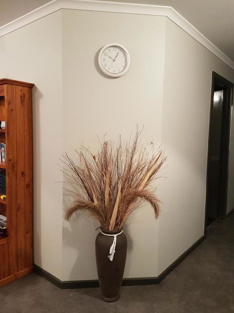 Wudinna Farm View - Inverell Accommodation 3