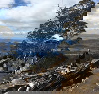 kunanyi / Mt Wellington Explorer Bus - 2 Hour Return Tour - Inverell Accommodation