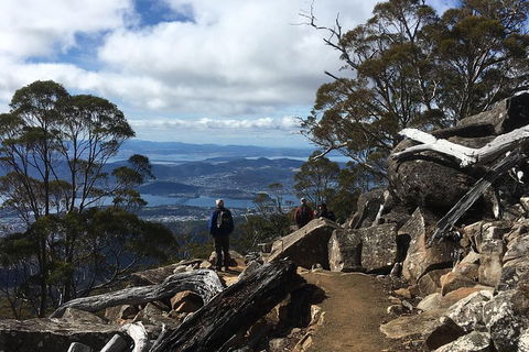 Kunanyi / Mt Wellington Explorer Bus - 2 Hour Return Tour - Inverell Accommodation 0