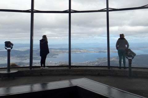 Kunanyi / Mt Wellington Explorer Bus - 2 Hour Return Tour - Inverell Accommodation 1