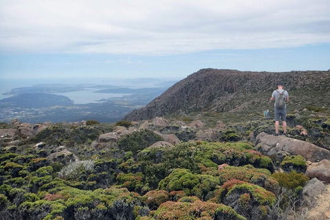 Kunanyi / Mt Wellington Explorer Bus - 2 Hour Return Tour - Inverell Accommodation 3