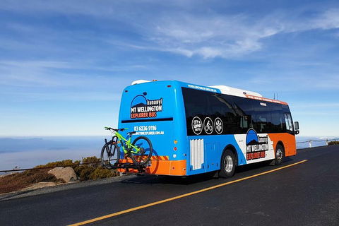 Kunanyi / Mt Wellington Explorer Bus - 2 Hour Return Tour - Inverell Accommodation 4