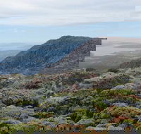 kunanyi/Mt Wellington Explorer Bus - One Way Tour - Inverell Accommodation