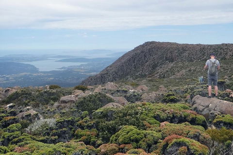 Kunanyi/Mt Wellington Explorer Bus - One Way Tour - Inverell Accommodation 0