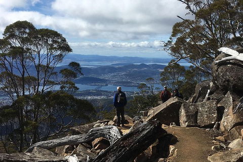 Kunanyi/Mt Wellington Explorer Bus - One Way Tour - Inverell Accommodation 2