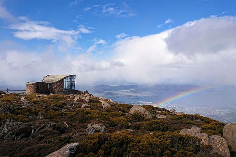 Kunanyi/Mt Wellington Explorer Bus - One Way Tour - Inverell Accommodation 3