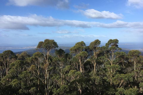 Kunanyi/Mt Wellington Explorer Bus - One Way Tour - Inverell Accommodation 5