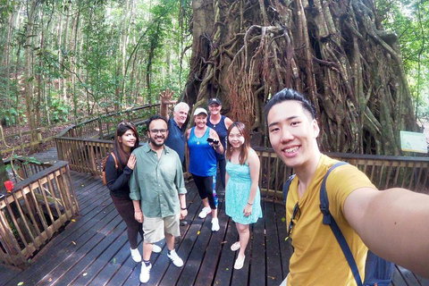 Cairns 4WD Waterfall And Rainforest Tour Including Kuranda Scenic Railway - Inverell Accommodation 0