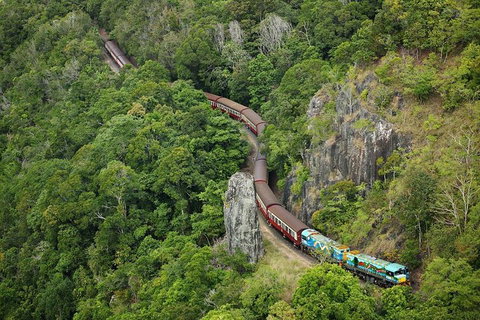 Cairns 4WD Waterfall And Rainforest Tour Including Kuranda Scenic Railway - Inverell Accommodation 3