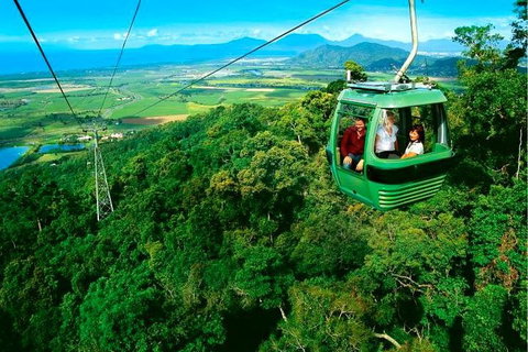 4-Day Cairns Ultimate Combo: Daintree Rainforest, Reef, Kuranda & Paronella Park - Inverell Accommodation 1