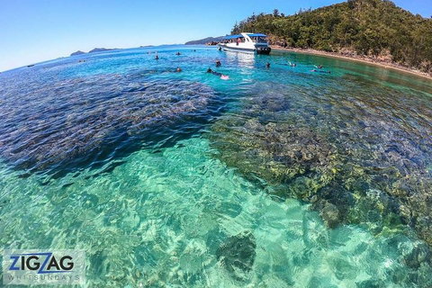 Whitehaven Beach Day Tour With Snorkel In Whitsundays Island - Inverell Accommodation 5