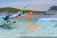 Book Viator Accommodation Vacations Inverell Accommodation Inverell Accommodation