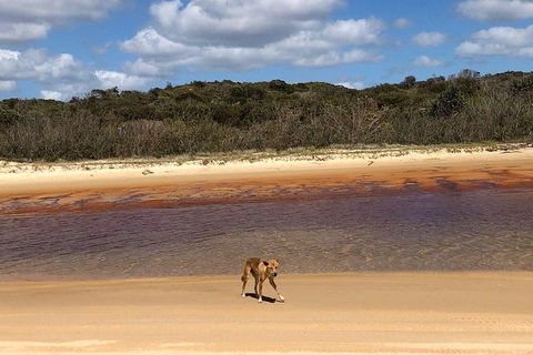 Pippies 3 Days 2 Nights Fraser Island Tour - Inverell Accommodation 2