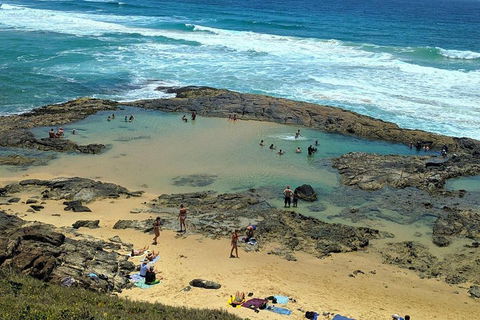 Pippies 3 Days 2 Nights Fraser Island Tour - Inverell Accommodation 5