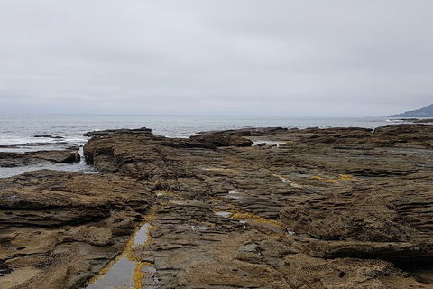 Luxury Private Great Ocean Road Tour Up To 11 People - Entire Vehicle - Inverell Accommodation 1