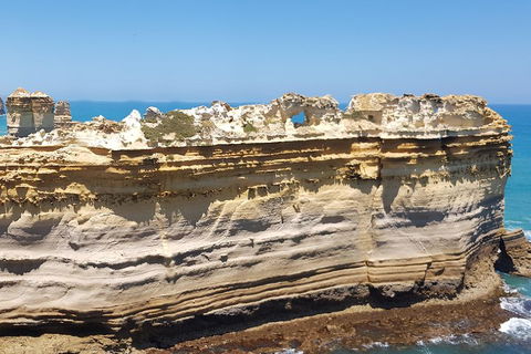 Luxury Private Great Ocean Road Tour Up To 11 People - Entire Vehicle - Inverell Accommodation 4