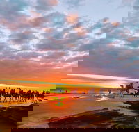 1 Hour Broome Sunset Camel Tour - Inverell Accommodation