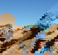 Broome Pre-sunset Camel Tour 30 minutes - Inverell Accommodation