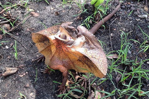 Litchfield National Park And Jumping Crocodile Cruise - Inverell Accommodation 1