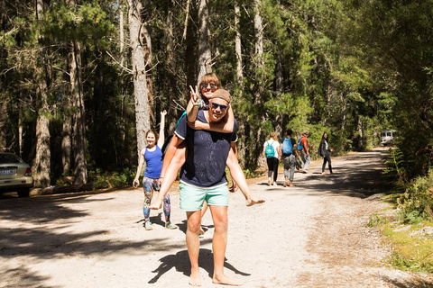 7-Day Best Of Tasmania Adventure Experience From Hobart (flexible Ticket) - Inverell Accommodation 5