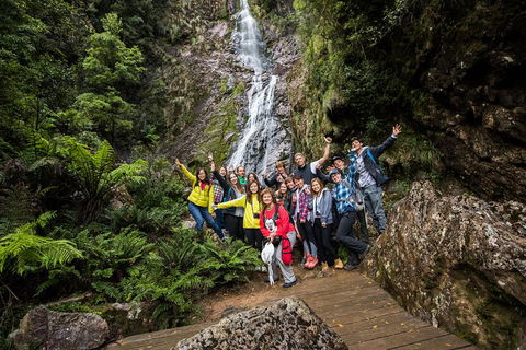5-Day Lap Of Tasmania Tour From Hobart (flexible Ticket) - Inverell Accommodation 0