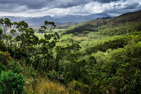 5-Day Lap Of Tasmania Tour From Hobart (flexible Ticket) - Inverell Accommodation 2