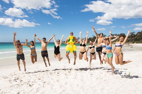 5-Day Lap Of Tasmania Tour From Hobart (flexible Ticket) - Inverell Accommodation 4