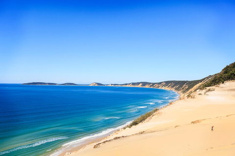 Kayak With Dolphins And 4WD Great Beach Drive Day Trip From Noosa - Inverell Accommodation 0
