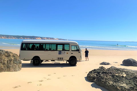 Kayak With Dolphins And 4WD Great Beach Drive Day Trip From Noosa - Inverell Accommodation 4