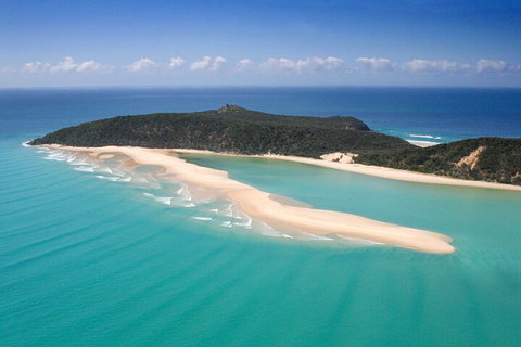 Kayak With Dolphins And 4WD Great Beach Drive Day Trip From Noosa - Inverell Accommodation 5