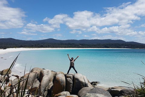Tasmania 4 Day East Coast + Launceston - Inverell Accommodation 1