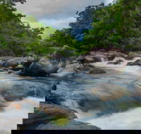 Cape Tribulation Day Tour - Inverell Accommodation