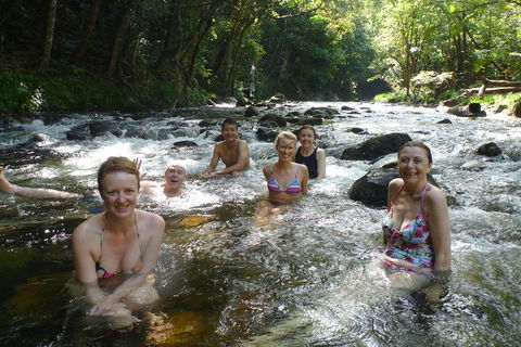 Daintree Rainforest, Cape Tribulation, Mossman Gorge Small-Group Day Tour - Inverell Accommodation 0