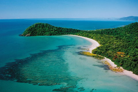 Daintree Rainforest, Cape Tribulation, Mossman Gorge Small-Group Day Tour - Inverell Accommodation 4