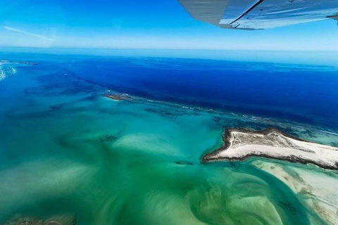 Wet Season Incredible Islands Tour - Horizontal Falls & Cygnet Bay Pearl Farm - Inverell Accommodation 4