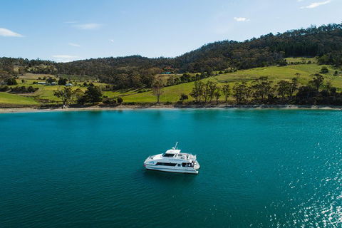 Deep-to-Dish: Tasmanian Seafood Experience - Inverell Accommodation 0