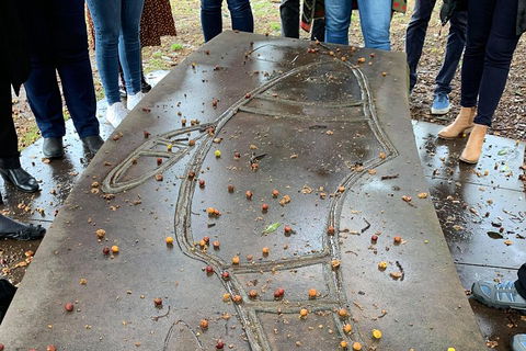 Illi-Langi The Rocks Aboriginal Dreaming Tour - Inverell Accommodation 4