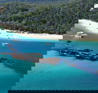 All Inclusive Tangalooma Wrecks Cruise Tour From Gold Coast - Inverell Accommodation