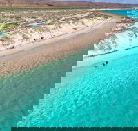 Ningaloo in a Day - Full Day Hike and Snorkel Tour with Lunch - Inverell Accommodation