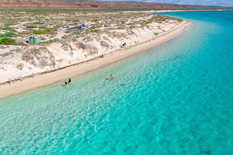 Ningaloo In A Day - Full Day Hike And Snorkel Tour With Lunch - Inverell Accommodation 0