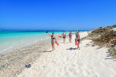 Ningaloo In A Day - Full Day Hike And Snorkel Tour With Lunch - Inverell Accommodation 1