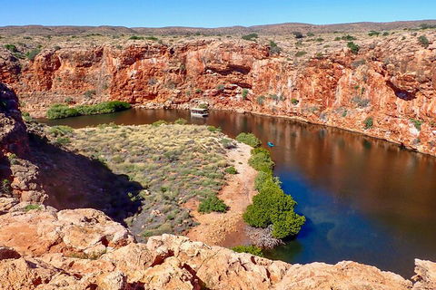 Ningaloo In A Day - Full Day Hike And Snorkel Tour With Lunch - Inverell Accommodation 2
