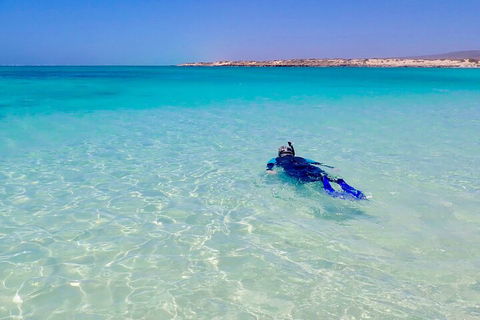 Ningaloo In A Day - Full Day Hike And Snorkel Tour With Lunch - Inverell Accommodation 4