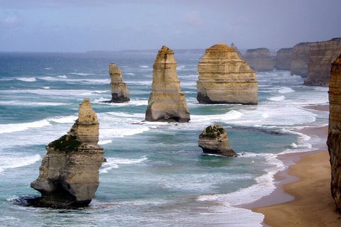 LGBT+ Friendly 2 Day Private Tour Great Ocean Road + Phillip Island - Inverell Accommodation 0
