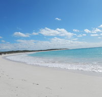 Shipwreck Special Nature Tour/Half Day Tour - Inverell Accommodation